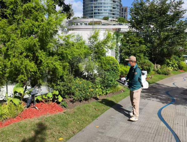 image1933.png image1933.png